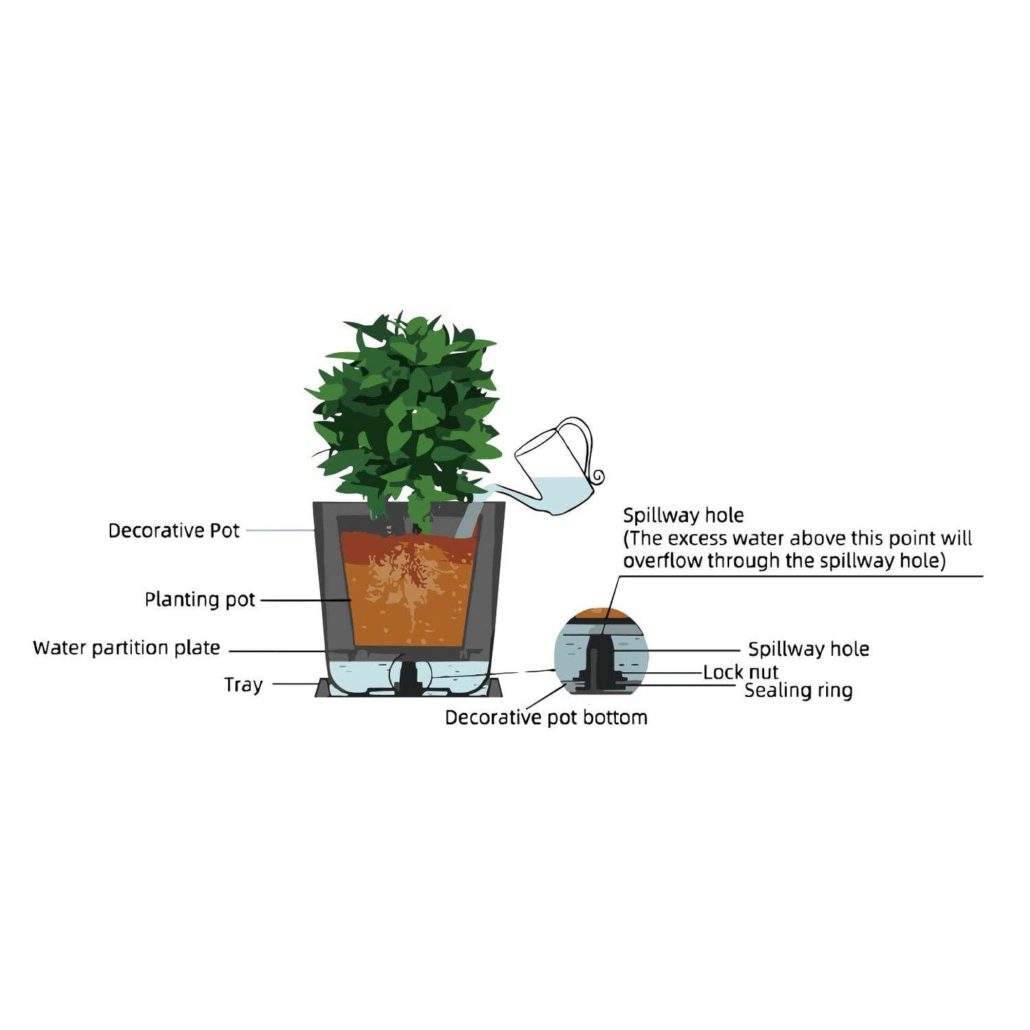 10"  Self-Watering