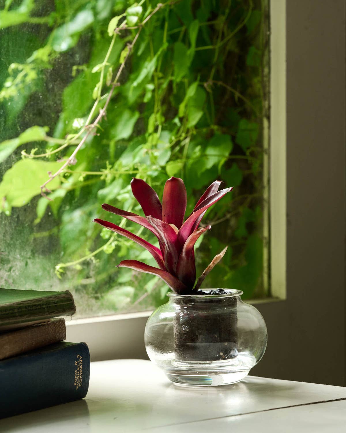 Small Self-watering Planter