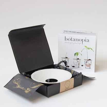 Porcelain Germination & Propagation Plate