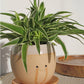 Crying pot ceramic flower pot