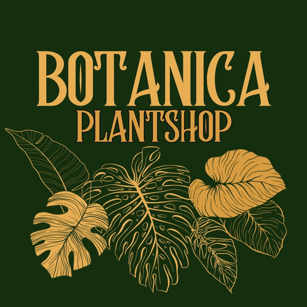 Botanica