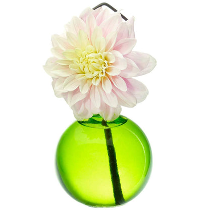 Hanging Propagation Vase