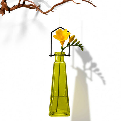 Hanging Propagation Vase