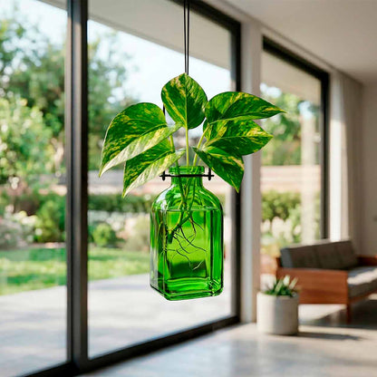 Hanging Propagation Vase