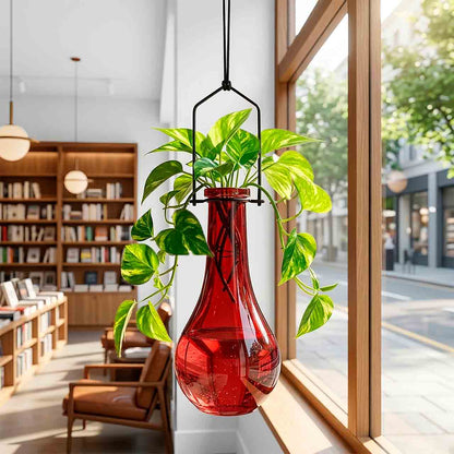 Hanging Propagation Vase