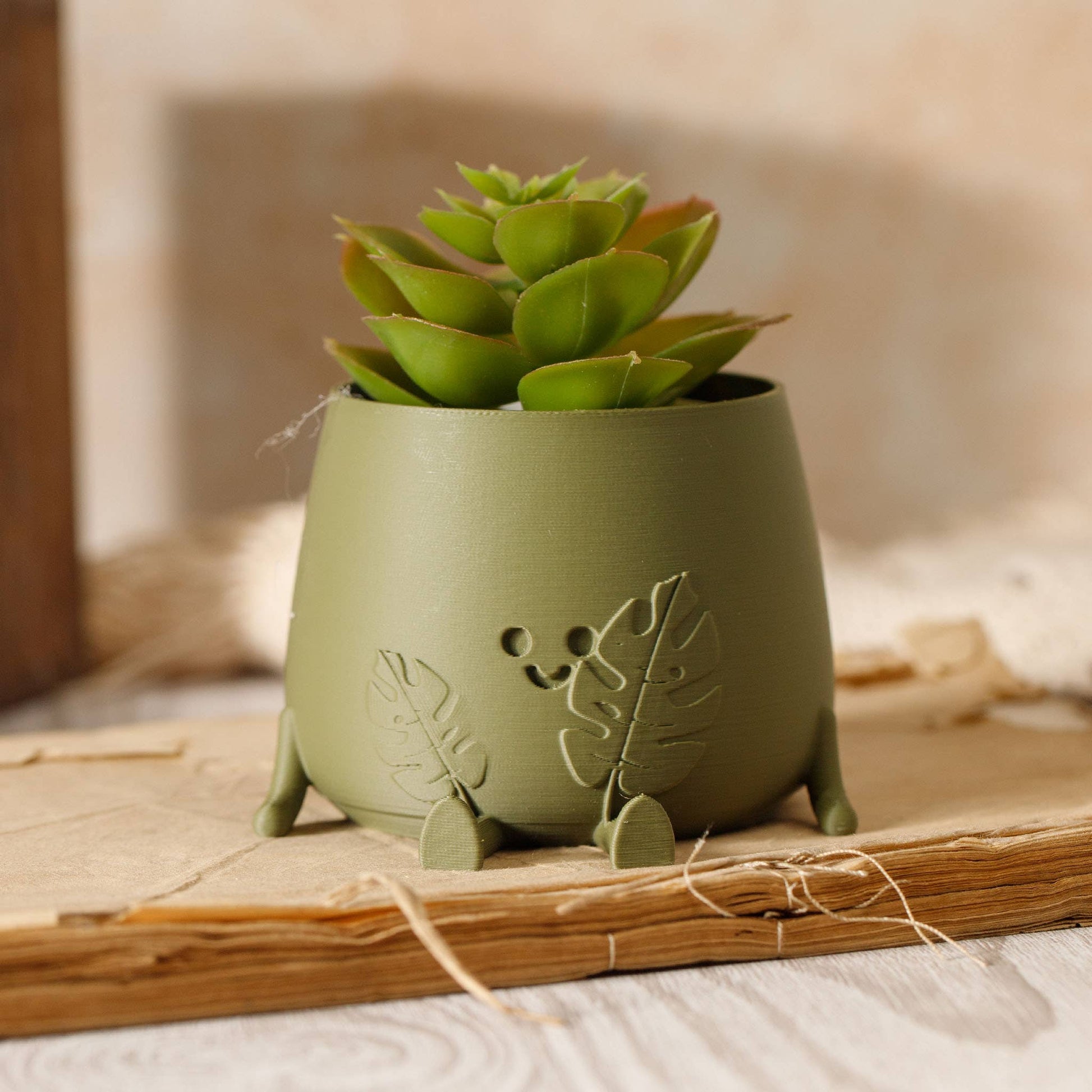 happy pot planter Happy Pot Planter Faces – Botanica
