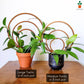 Wood Triple Hoop Indoor Plant Trellis: Decorative Support for Climbing Houseplants