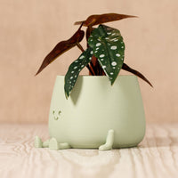 Happy Pot Planter