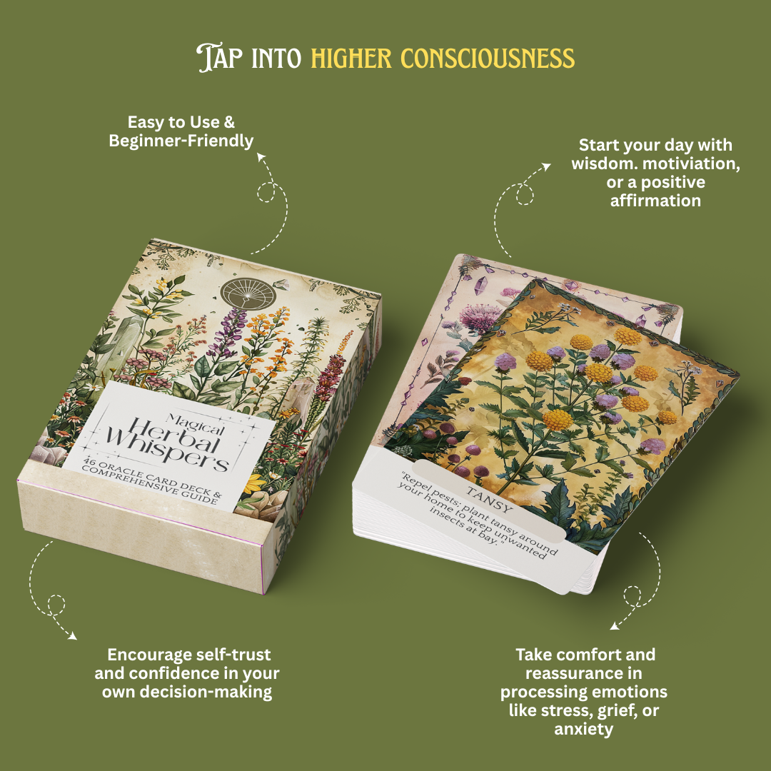 Oracle Card Deck Collection