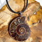 Ammonite Pendant Healing Crystal Energy