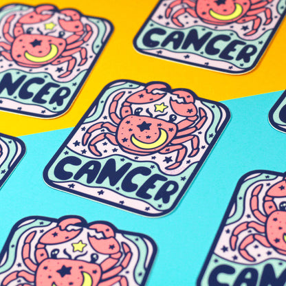 Zodiac Astrology Horoscope Vinyl Stickers Featuring All 12 Star Sign Symbols and Names