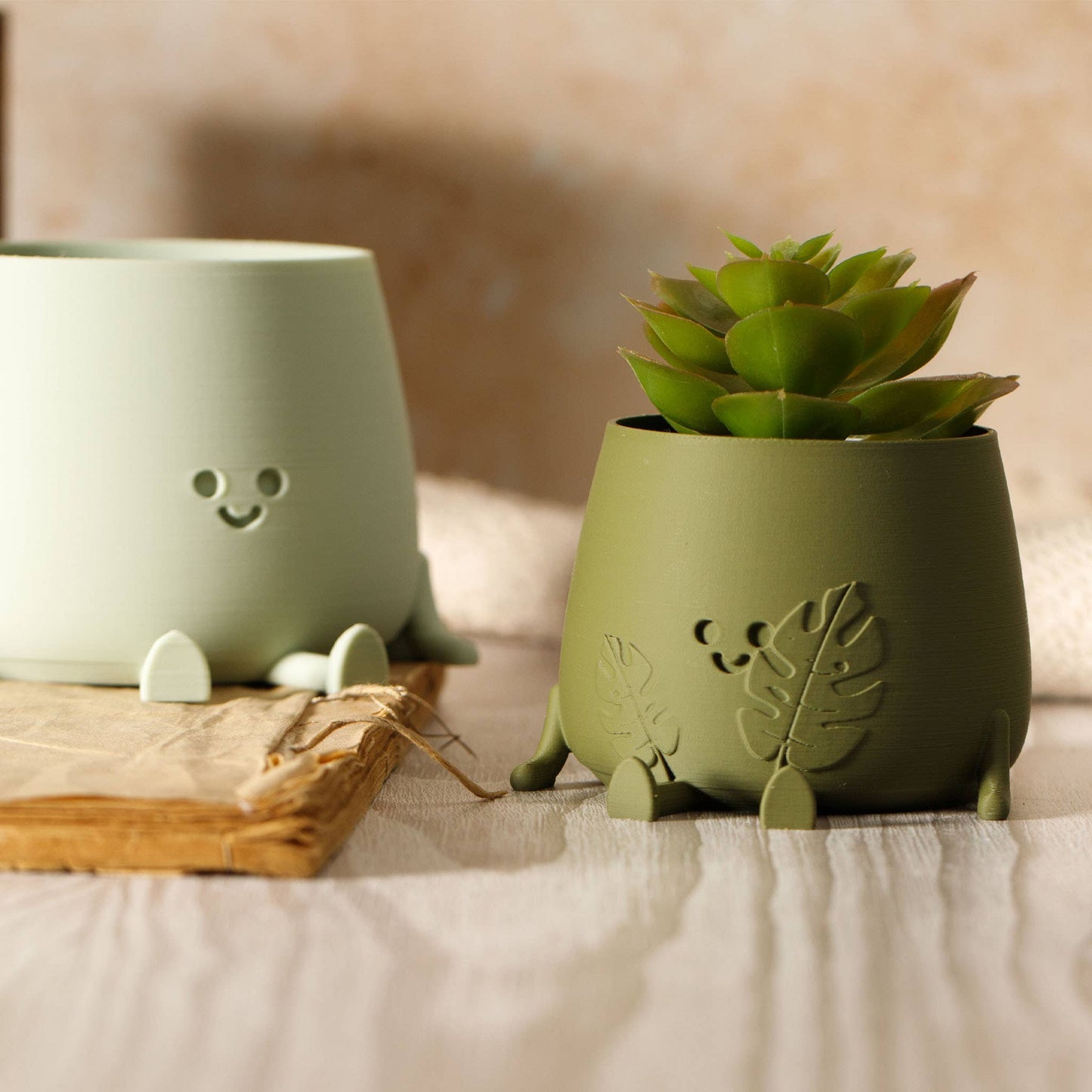 Happy Pot Planter Faces