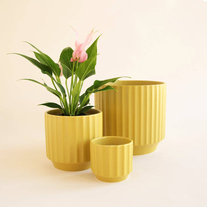 Monroe Pot