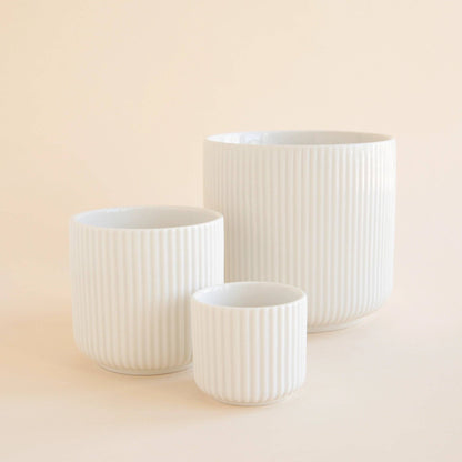Lucy Pot