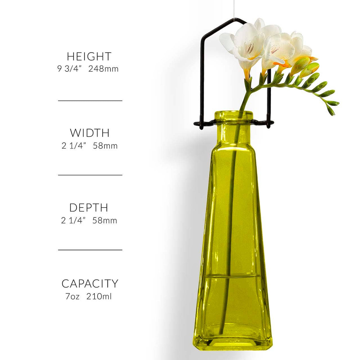 Hanging Propagation Vase