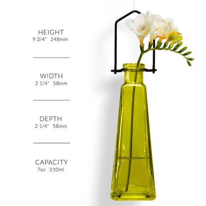 Hanging Propagation Vase