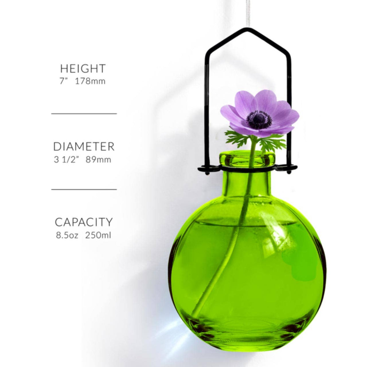 Hanging Propagation Vase