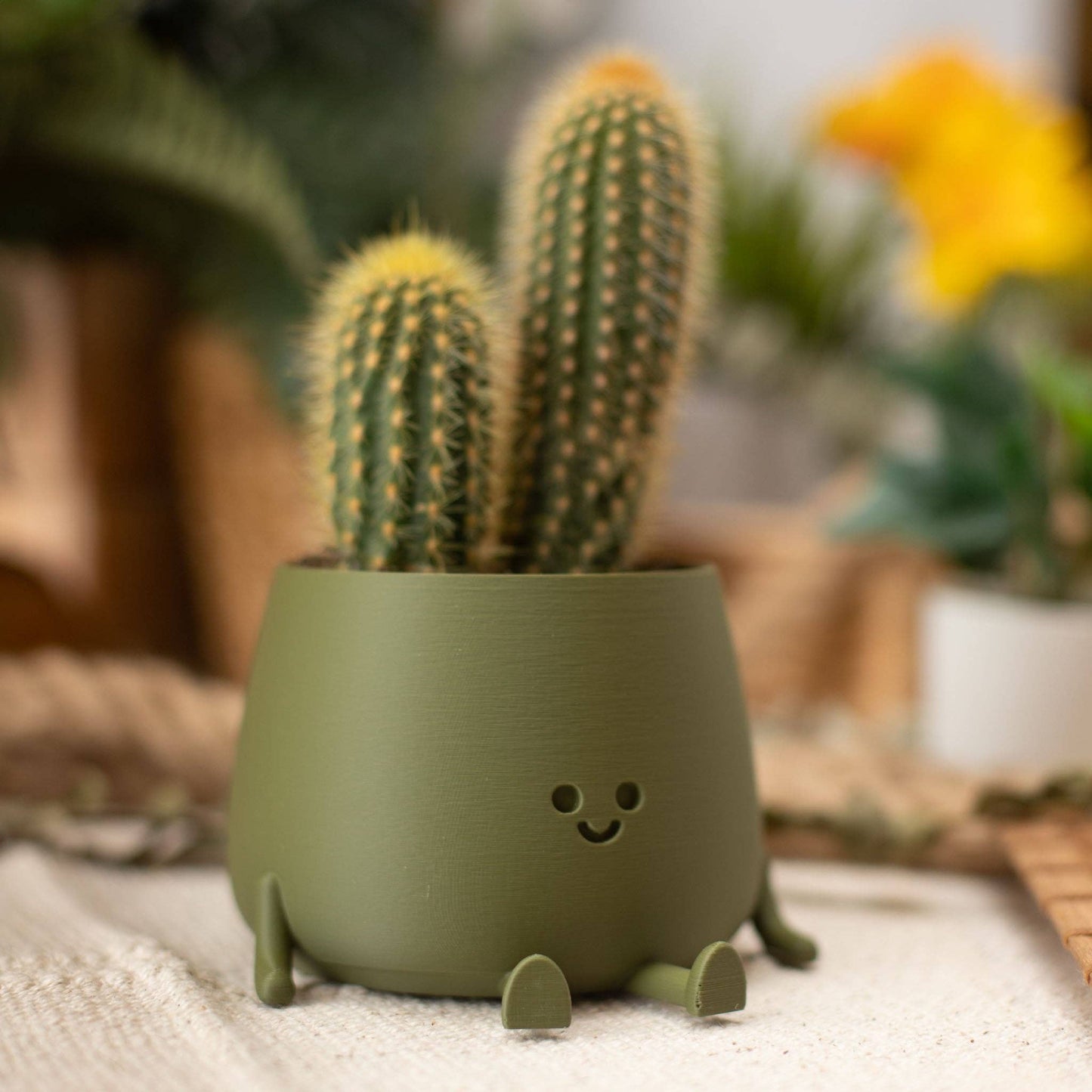 Happy Pot Planter