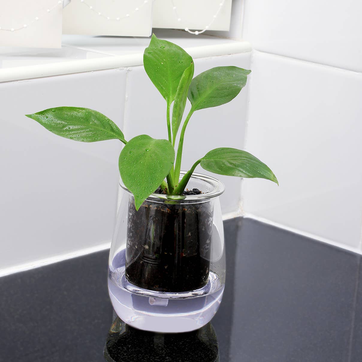 Mini Self-watering Planter