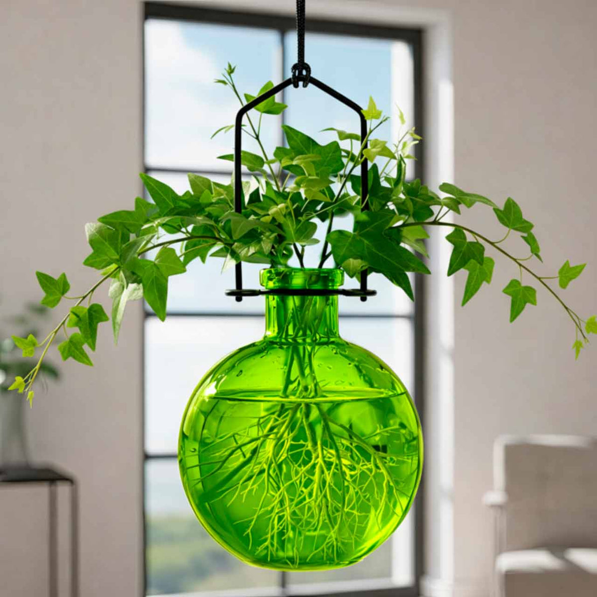 Hanging Propagation Vase