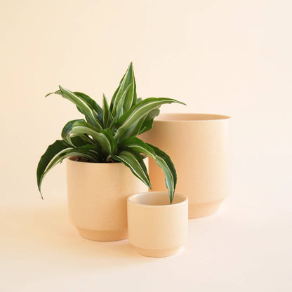 Parker Pot