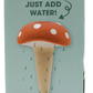 Raining Toadstool