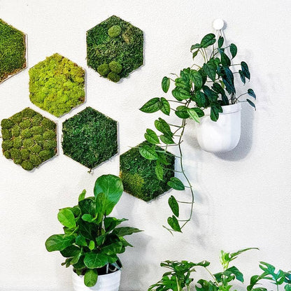 Loop Hanging Planter