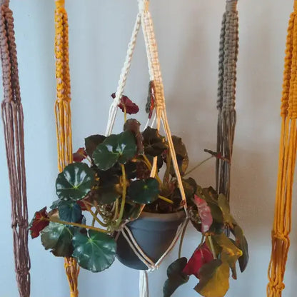 Classic Macrame Plant Hanger - Various Colors Available