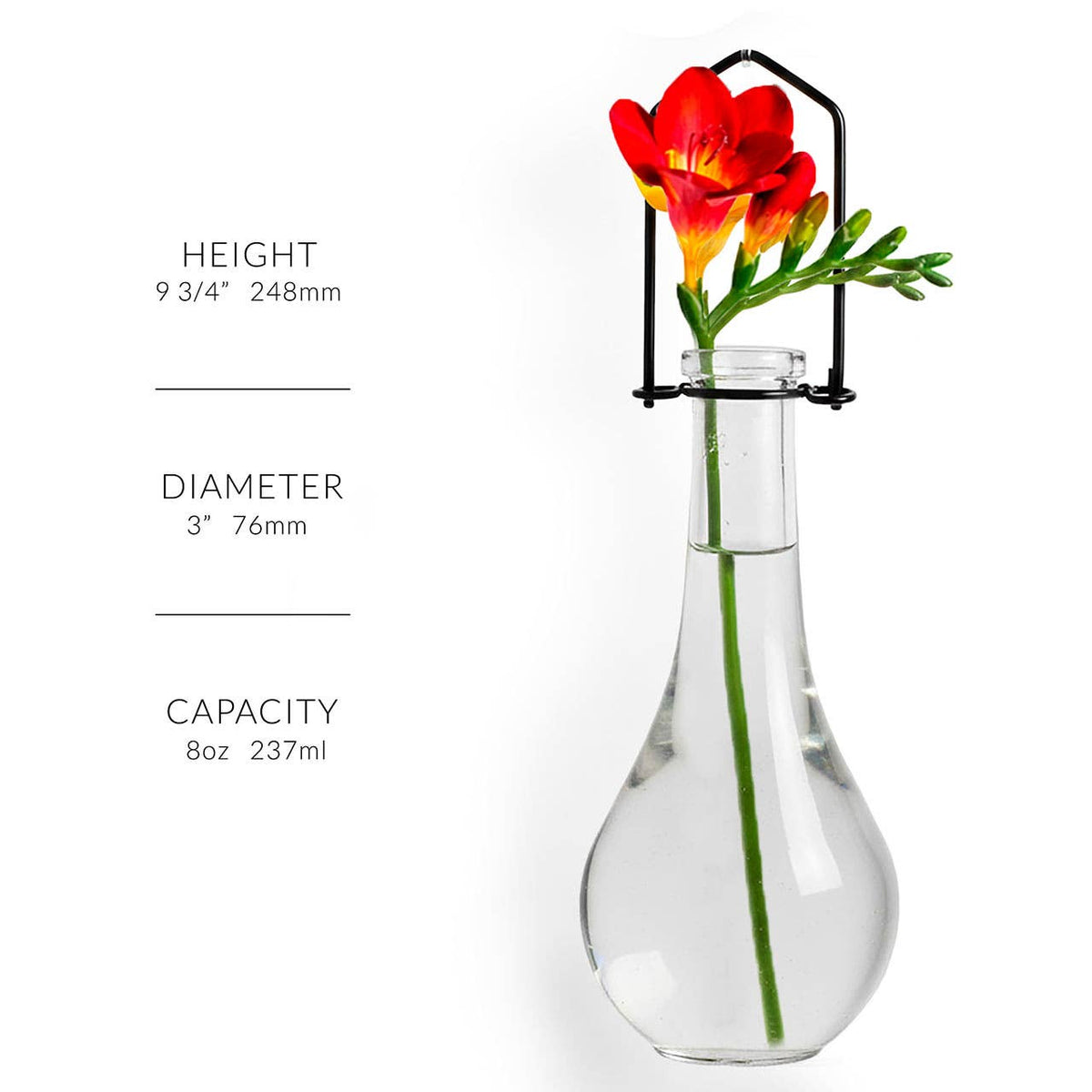 Hanging Propagation Vase