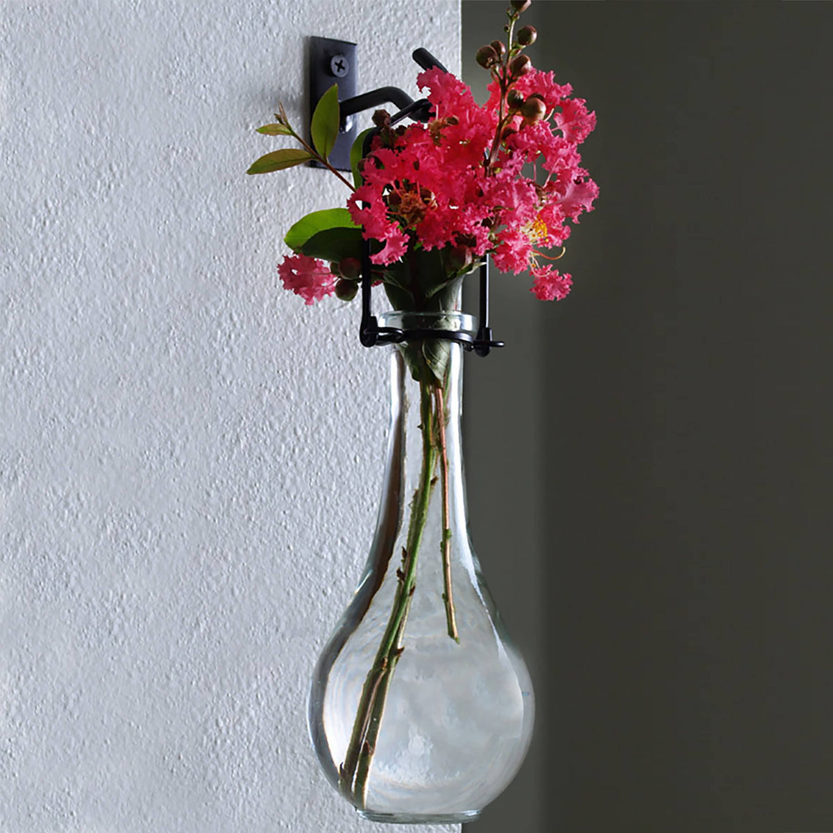 Hanging Propagation Vase