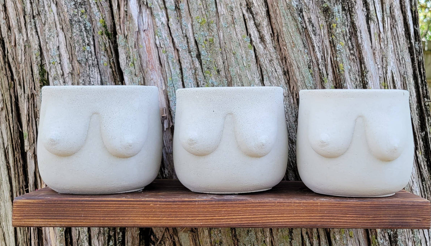 Boobie Pot | Cement | Flower Pot | Planter | Funny Pot