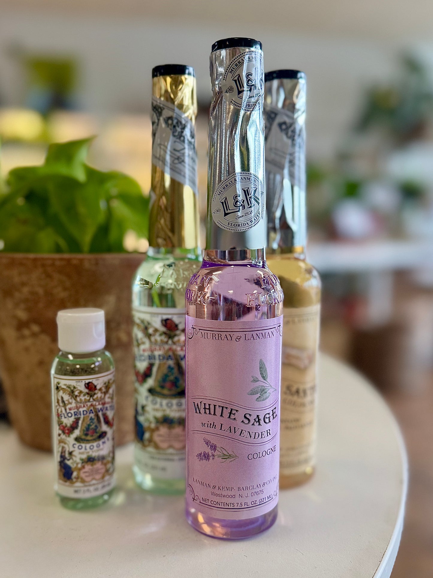 Florida Water Collection