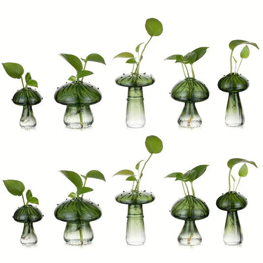 Mushroom Propagation Glass