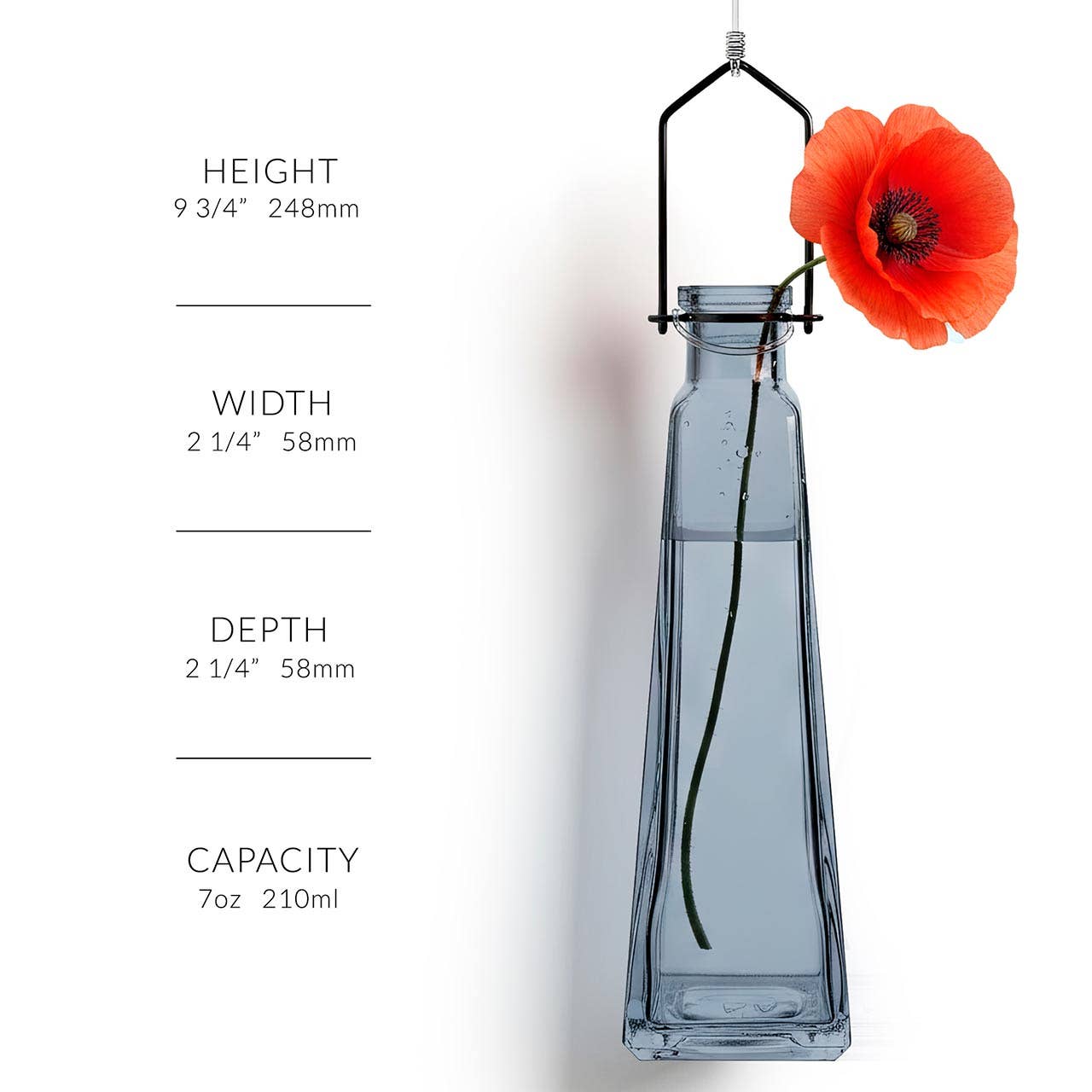 Hanging Propagation Vase