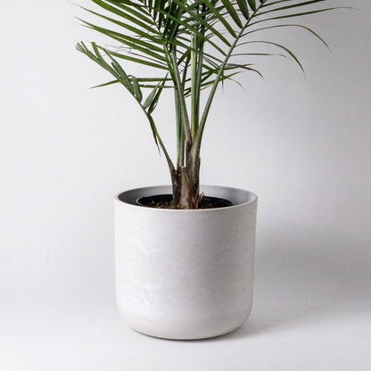 Signature Stone Planter & Saucer