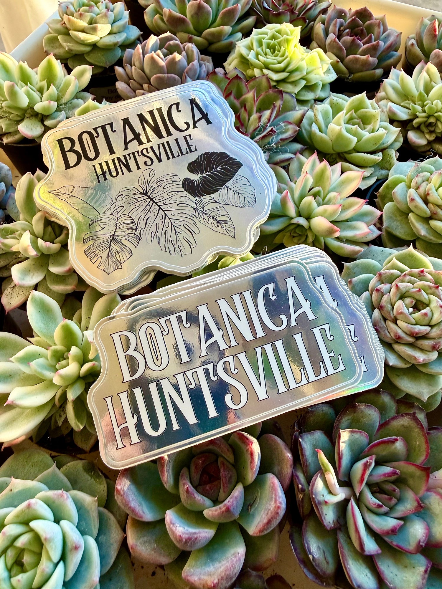 Botanica Merch