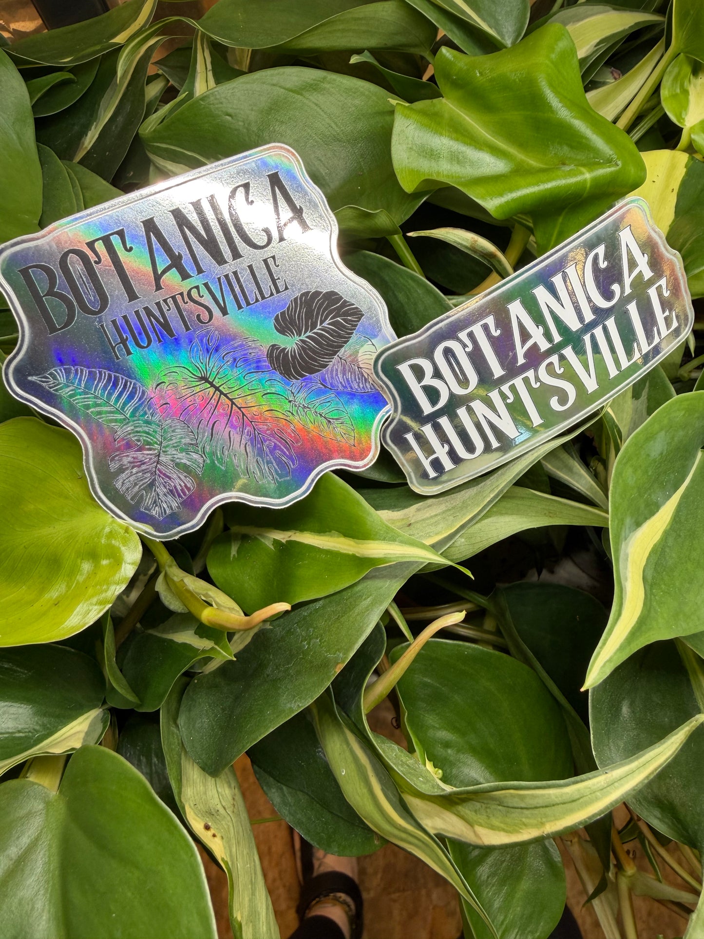 Holo Botanica Sticker