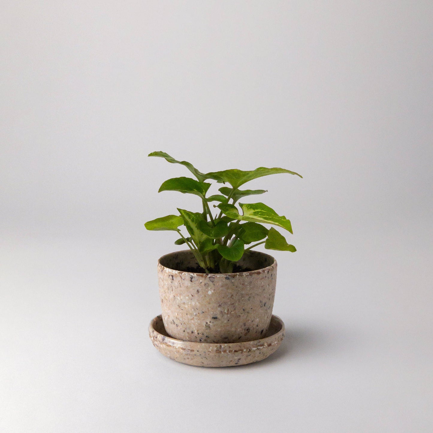 Kanso Mini Planter