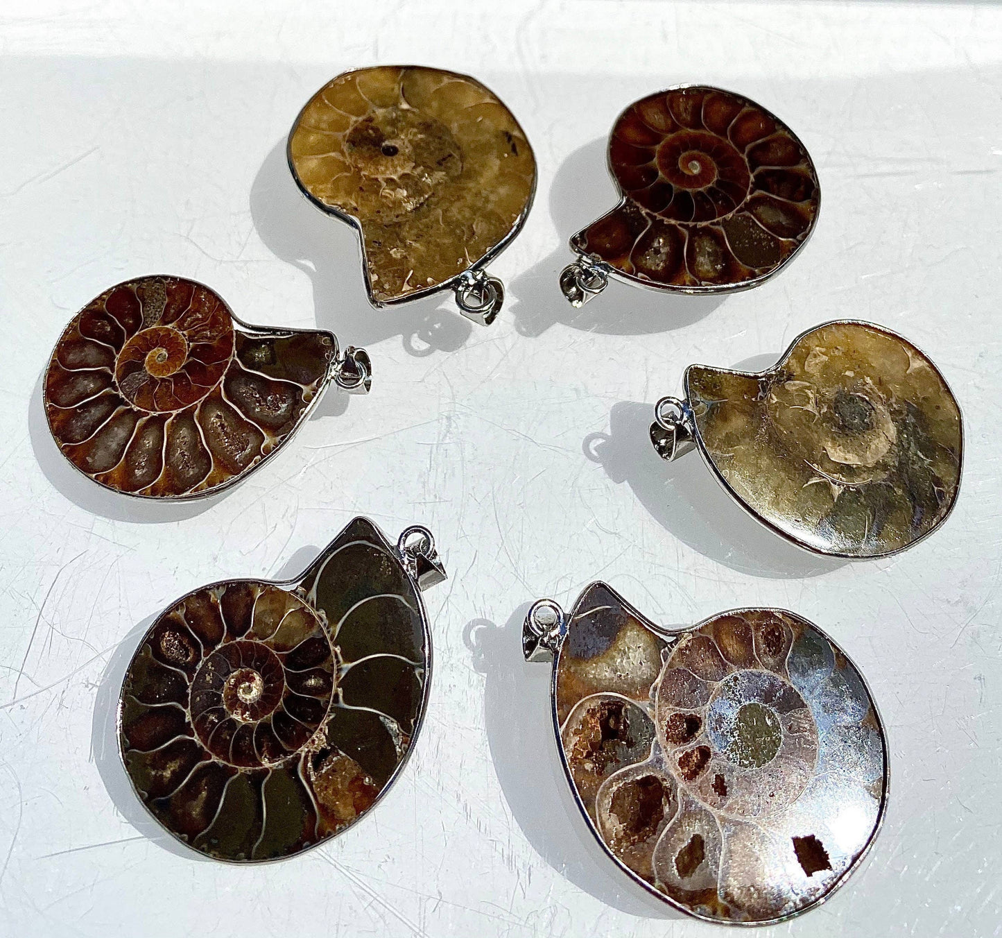 Ammonite Pendant Healing Crystal Energy