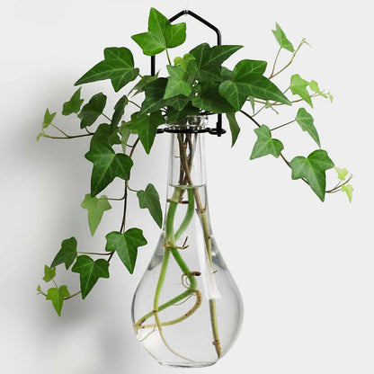 Hanging Propagation Vase