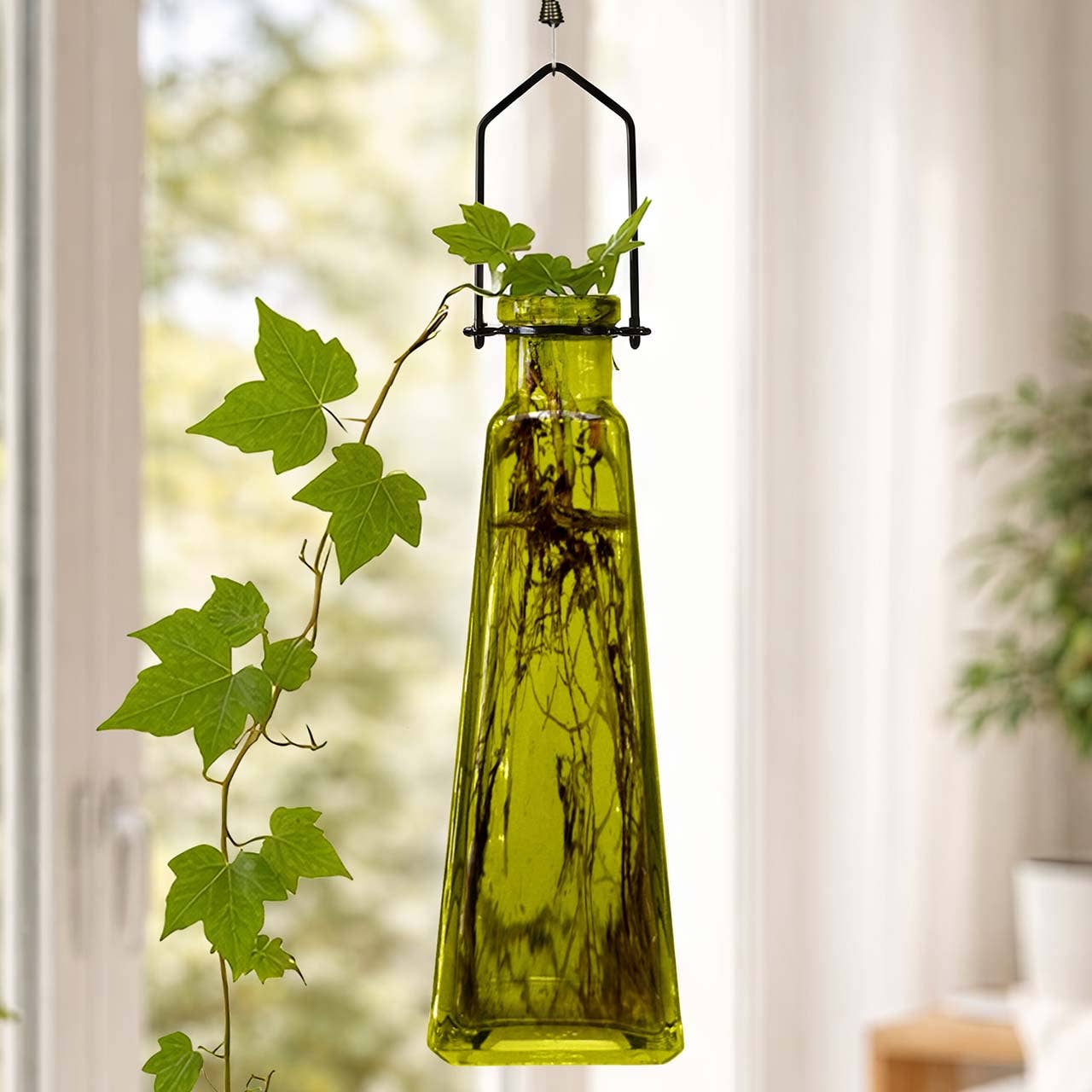 Hanging Propagation Vase