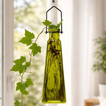Hanging Propagation Vase