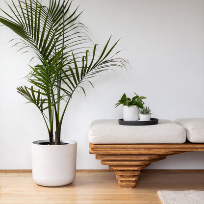 Signature Stone Planter & Saucer