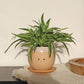 Crying pot ceramic flower pot