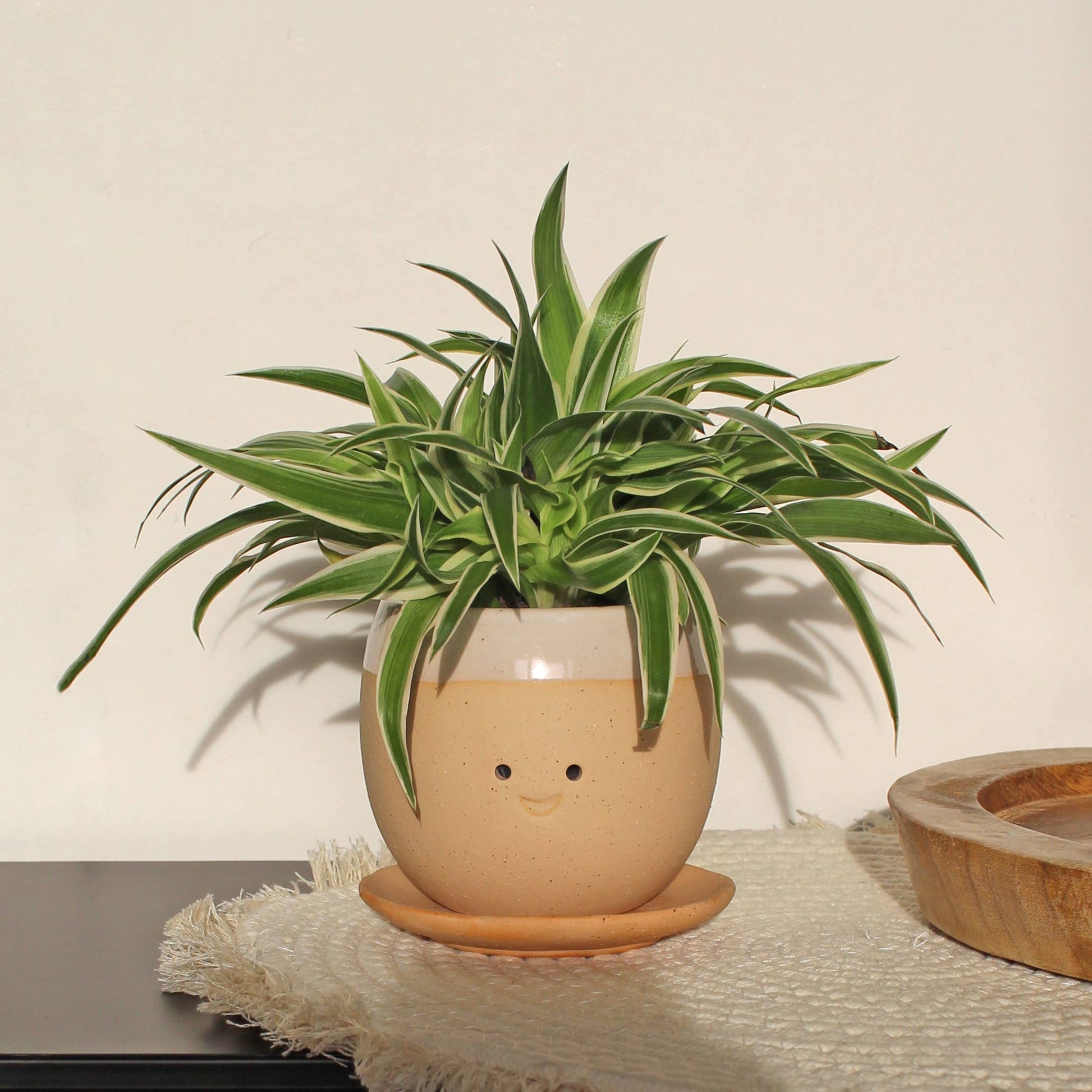 Crying pot ceramic flower pot – Botanica