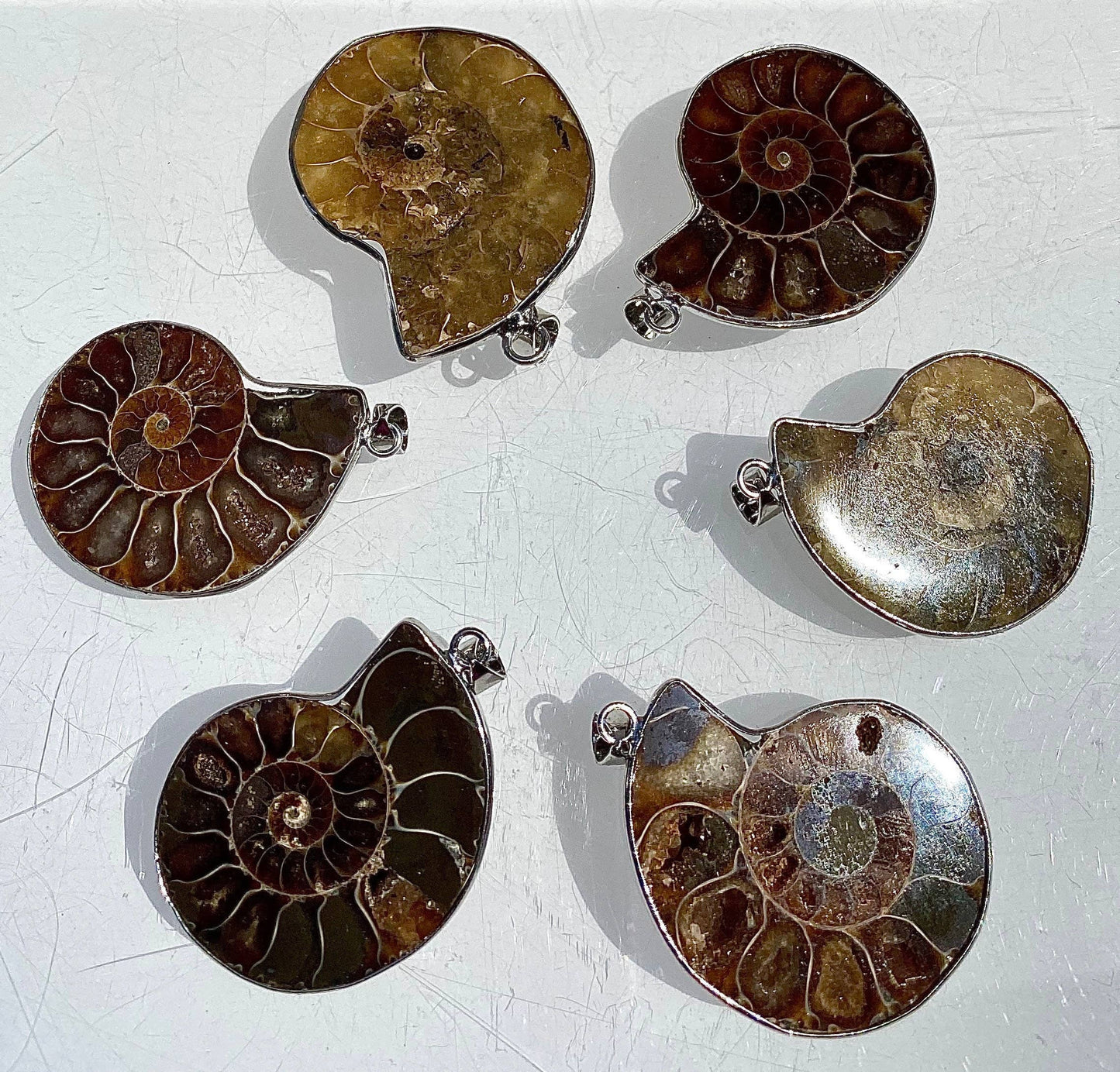 Ammonite Pendant Healing Crystal Energy