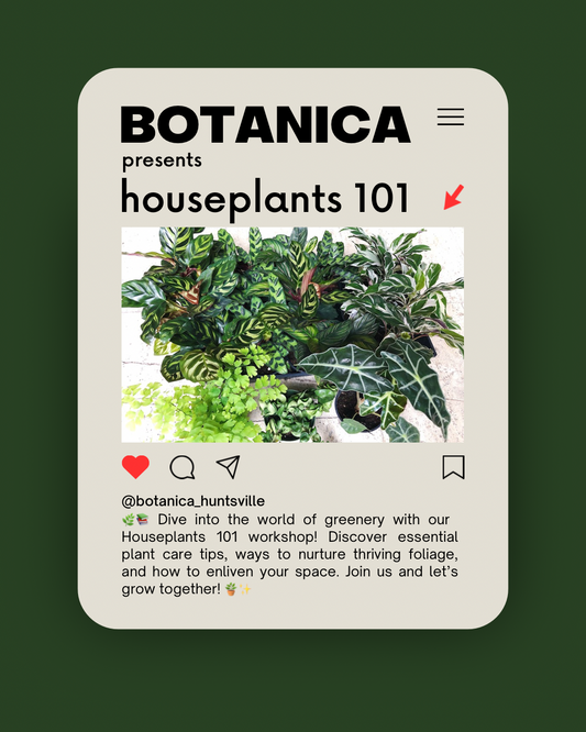 Houseplants 101 May 10th 3-5 pm