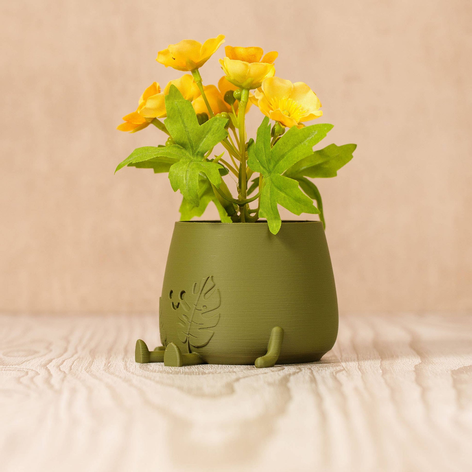 happy pot planter Happy Pot Planter Faces – Botanica