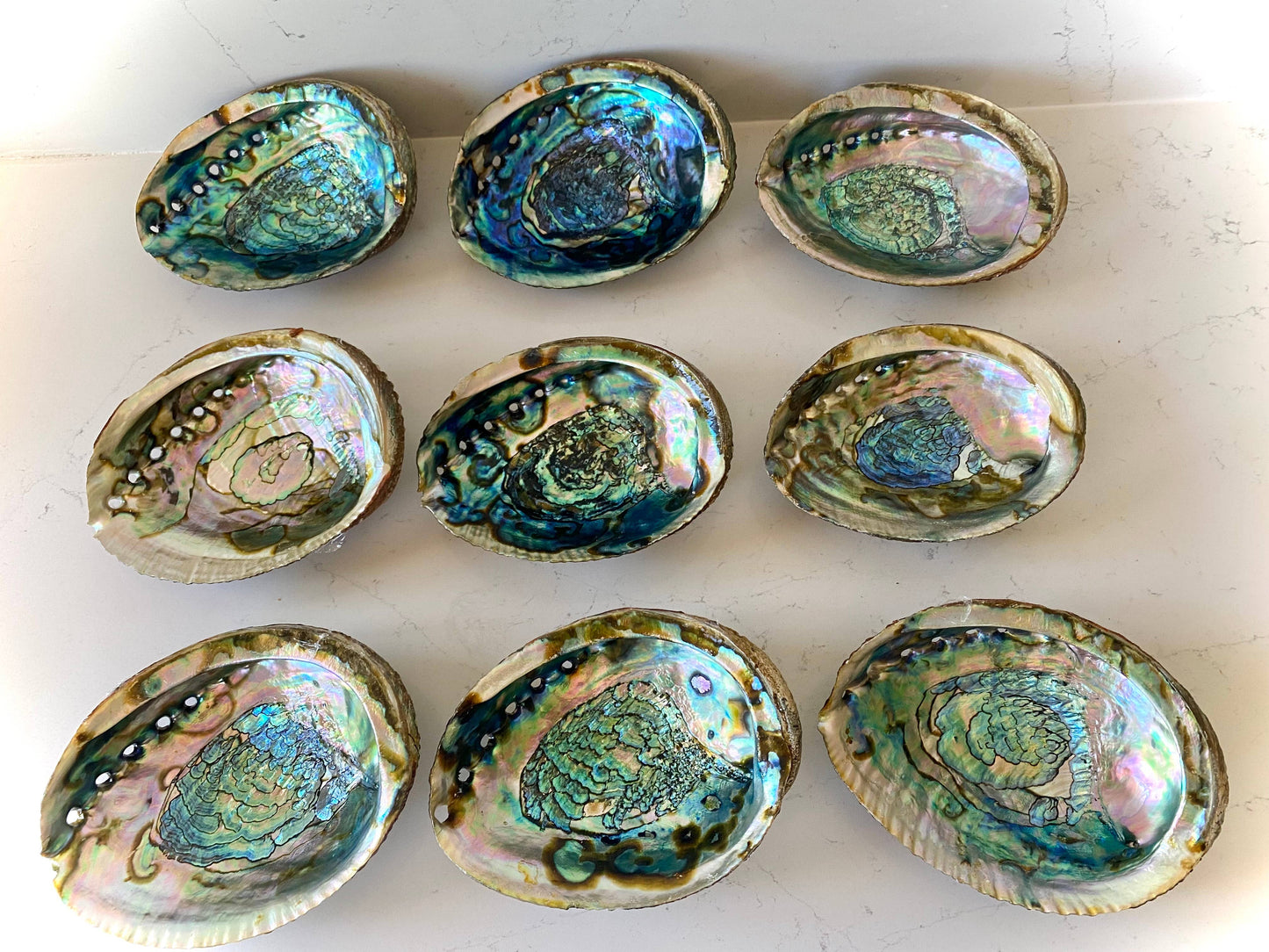 Abalone Shell Bowls