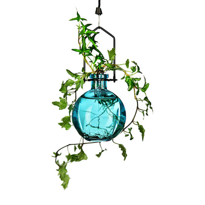 Hanging Propagation Vase